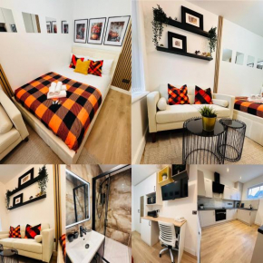 R4 - Elegant Private Room with Kitchenette near QE Hospital Harborne